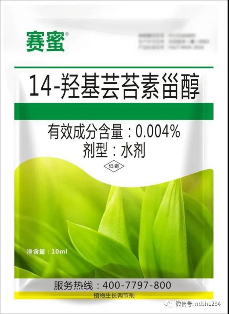 我公司參加澠池縣花椒春季管理與病蟲害防治（zhì）技術培訓會(圖4)