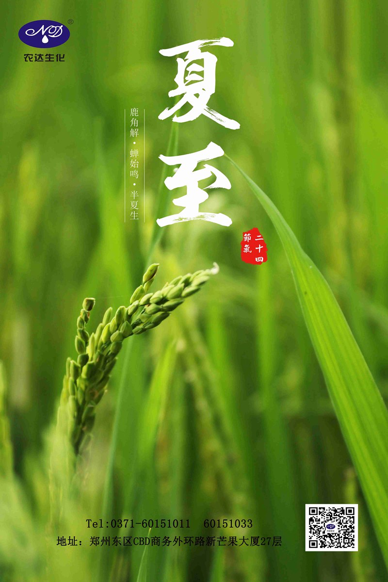 關注農（nóng）時——夏至(圖1)