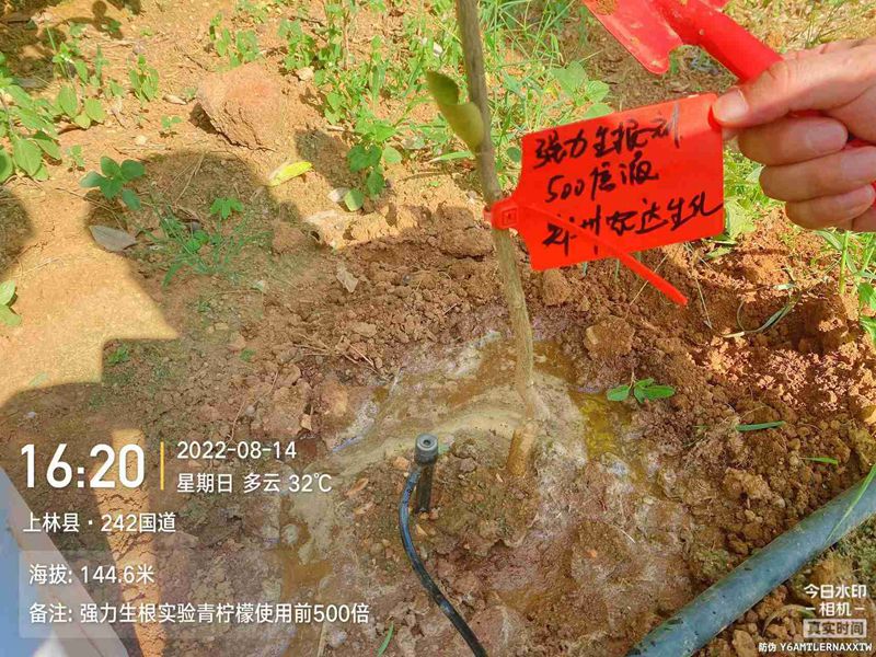 日本久久久生根產品試驗(圖3)