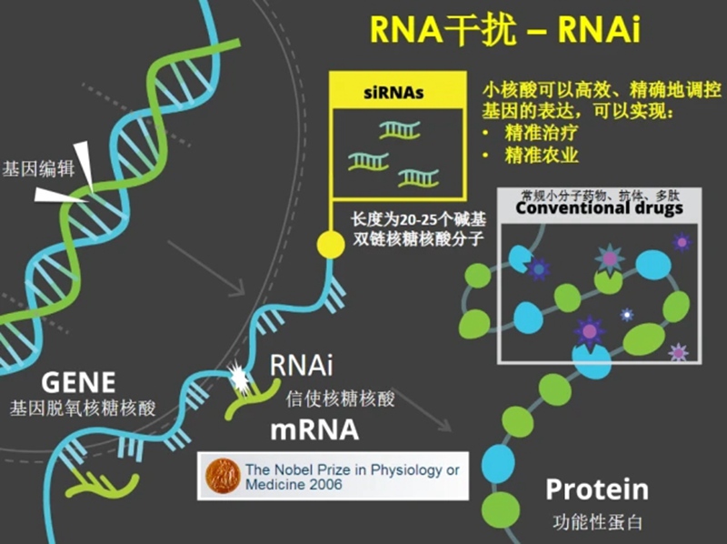 RNA生物農藥商業化（huà）及發展趨勢(圖1)