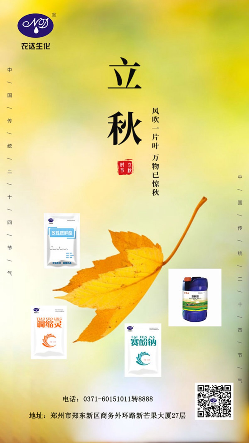今日立(lì)秋(圖1) 今日立秋(圖1)