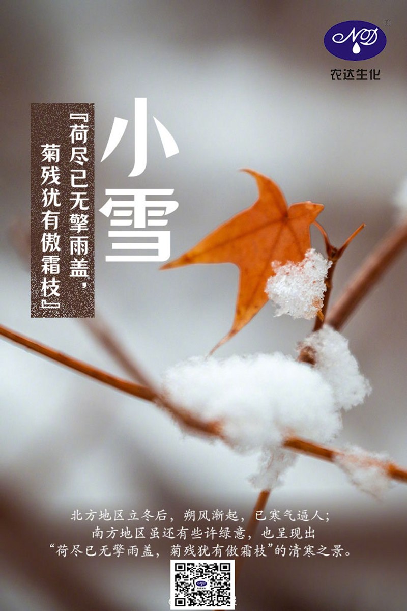 今日（rì）小雪(圖1)