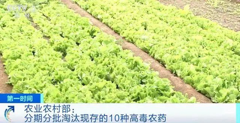 農業農村部(bù):3年內淘汰這10種高毒農藥, 重點治(zhì)理豇(jiāng)豆、韭菜、芹菜農殘超標(圖1) 農業農村部:3年內淘汰這10種(zhǒng)高毒農藥, 重點治理(lǐ)豇豆、韭菜、芹菜農殘超標(圖1)