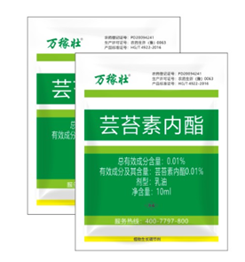 暴雨過後，玉米急需（xū）這樣補救！(圖2)