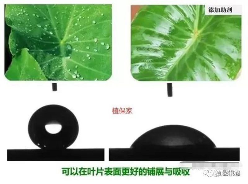 農藥成分和含量一模一樣，為啥效果差別那麽大？(圖2)